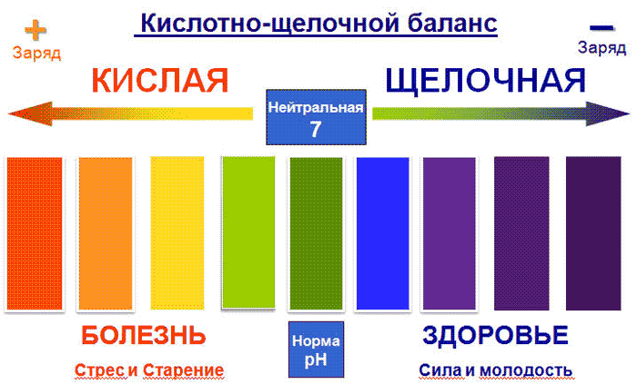 Кислотно-щелочной статус крови Кислотно-щелочной статус крови